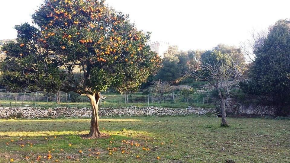 Finca Sa Duaia De Dalt Artá Exterior foto